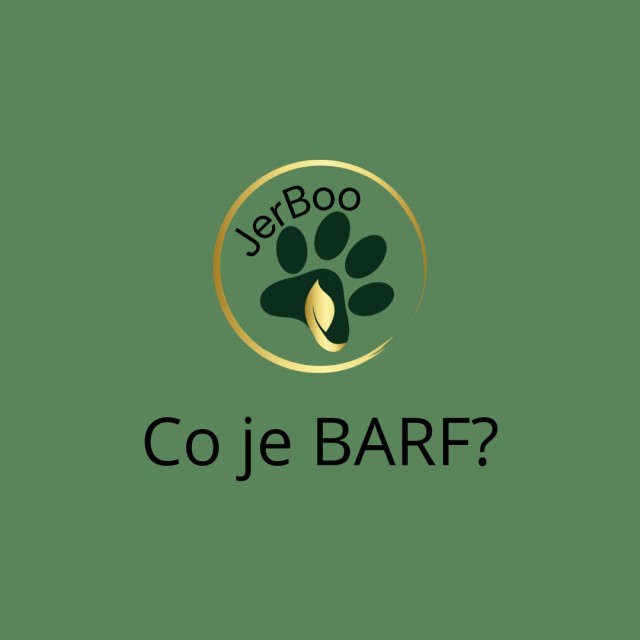 Co je BARF? 9.1.2024