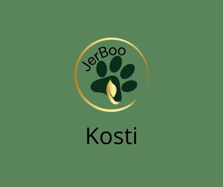 Kosti. 26.1.2024